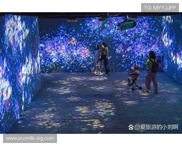 华体会真人娱乐体验：多样化真人荷官游戏带来的沉浸式娱乐享受